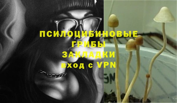 шишки Корсаков