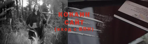 шишки Корсаков