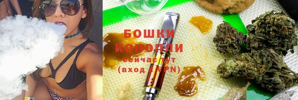 шишки Корсаков
