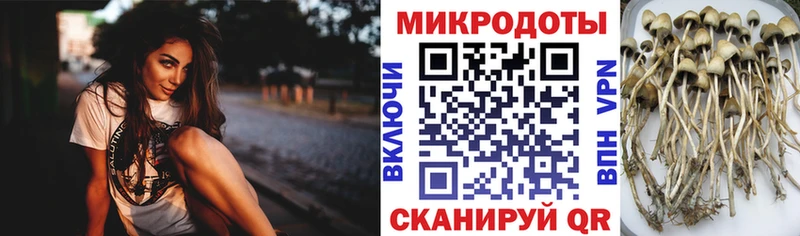 Галлюциногенные грибы мухоморы  Химки 